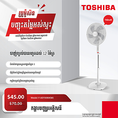 Toshiba Electric Fan 16 inch
